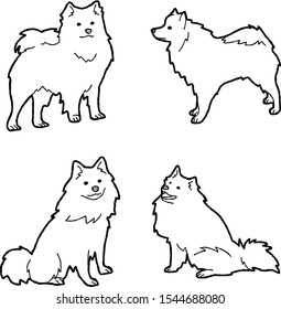 American Eskimo Dog Animal Vector Illustration Hand Drawn Cartoon Art