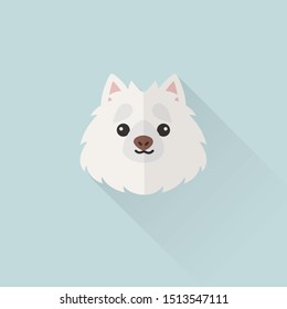 American Eskimo Dog Head Vector Flat Design Illustration from Front View for Website Icon, Social Media, Blog Post, Dog Business Related and Greeting Card