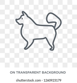 American Eskimo dog icon. Trendy flat vector American Eskimo dog icon on transparent background from dogs collection. High quality filled symbol use for web and mobile