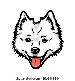 American Eskimo dog - isolated vector illustration