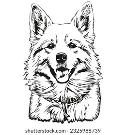 Silueta de mascotas de perro esquimal estadounidense, ilustración de línea animal mascota de vector blanco y negro dibujada a mano