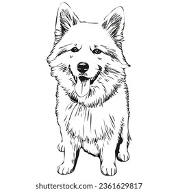 American Eskimo Hund realistische Bleistiftzeichnung in Vektorgrafik, Kunstgrafik des Hundes Gesicht Schwarz-Weiß