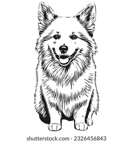 Ilustración realista de mascotas para perros esquimales estadounidenses, dibujo de mano cara de raza vectorial blanco y negro