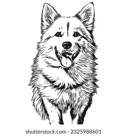 Carácter de mascota de la silueta de perro esquimal estadounidense, mascotas vectoriales de dibujos animados en blanco y negro