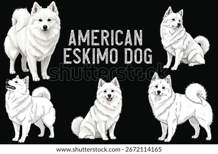 American Eskimo Dog standard pose set vector illustration