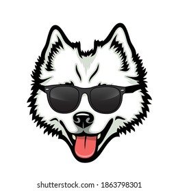 American Eskimo dog with sunglasses - isolated vector illustration