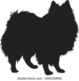 American Eskimo Dogs Silhouette Isolated On White