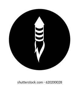american fireworks isolated icon