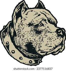 American fit bull dog vintage illustration isolated on a white background.
