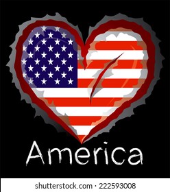 American flag with in claw scratches