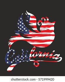 American flag color hummingbird california design vector art