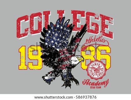 American flag and Eagle retro style  graphic design vector art