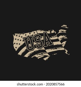 American flag Grunge Design Vector 
