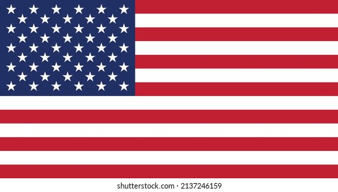 American flag with original color vector illustration design