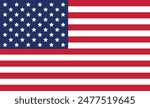 American flag USA design. united states flag. Rendered USA flag. the USA national flag	