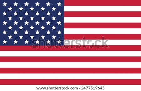 American flag USA design. united states flag. Rendered USA flag. the USA national flag	