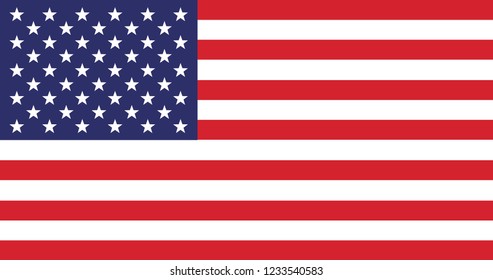 American flag vector