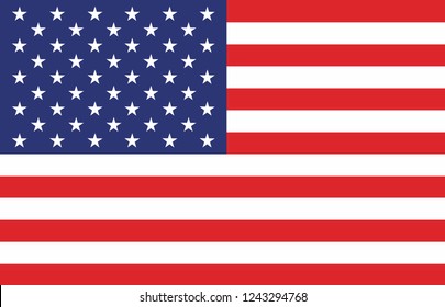 American Flag. Vector image of American Flag. American Flag background. American Flag illustration. United States of America. USA. The Star-Spangled Banner with Stars and Stripes. USA. United States.