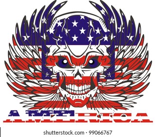 American flag wing and skull