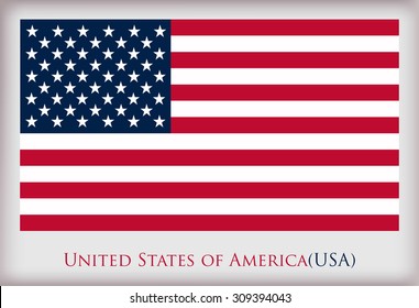 American flag.Flag of the United States.Vector illustration.