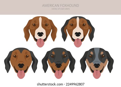 American foxhound all colours clipart. Different coat colors set.  Vector illustration