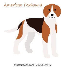 American Foxhound Dog cute animal in colorful cartoon style isolated on white background. Vector graphics. It have a greater speed and agility, especially over rough terrains.