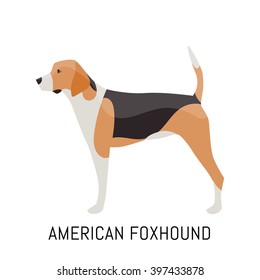 American Foxhound. Dog, Flat Icon. Isolated On White Background.