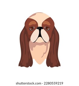 american foxhound face over white