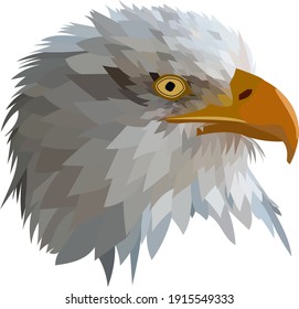 American golden eagle head, polygonal eagle head vector illustration