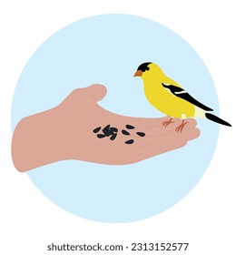 American goldfinch (Spinus tristis) in the palm. Man feeding a bird sunflower seeds. Hand, arm with bird isolated on white background. Naturalist, birdwatching, ornithology. Vector illustration.