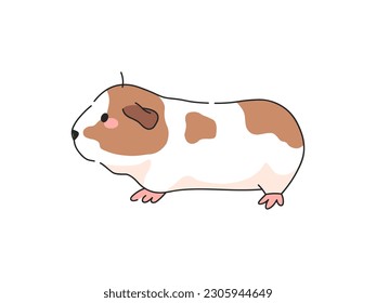 American Guinea Pig Cartoon Vector Illustration. Isolated icon on white background.