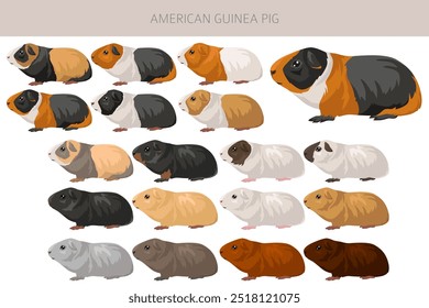 Clipart de porquinho-da-índia americano. Todas as cores do casaco cavies conjunto. Pequenos roedores de estimação. Ilustração vetorial