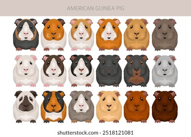 Clipart de porquinho-da-índia americano. Todas as cores do casaco cavies conjunto. Pequenos roedores de estimação. Ilustração vetorial