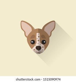 American Hairless Terrier Dog Head Vector Flat Design Illustration from Front View for Website Icon