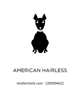 American Hairless Terrier dog icon. American Hairless Terrier dog symbol design from Dogs collection. Simple element vector illustration on white background.
