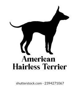 American Hairless Terrier Dog silhouette dog breeds logo dog monogram logo dog face vector