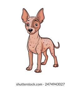 American Hairless Terrier dog vector illustration isolated on white background in cartoon style.