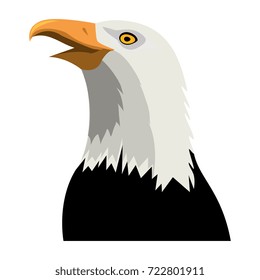 American hawk symbol