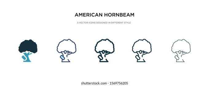 american hornbeam tree icon in different style vector illustration. two colored and black american hornbeam tree vector icons designed in filled, outline, line and stroke style can be used for web,