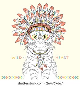 American Indian cat in war bonnet, native american poster, t-shirt design, hand drawn animal illustration