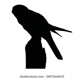 Vector de estrel americano. Icono vector kestrel americano en estilo plano.
