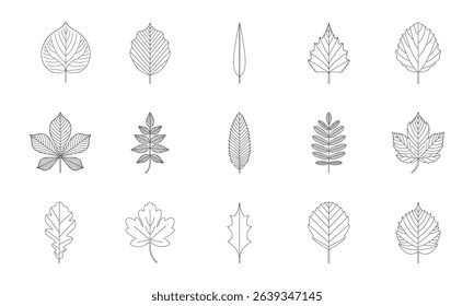 American Leaf Icons Set – Patriotic Foliage Vector Symbols