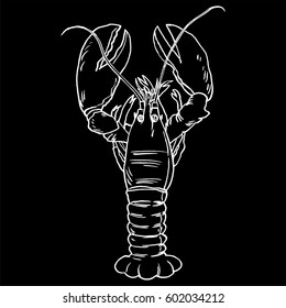 American Lobster, Vector illustration for artwork in small sizes.