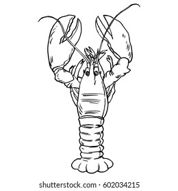 American Lobster, Vector illustration for artwork in small sizes.