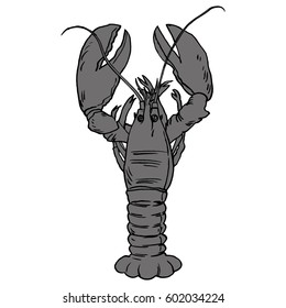 American Lobster, Vector illustration for artwork in small sizes.