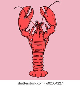 American Lobster, Vector illustration for artwork in small sizes.