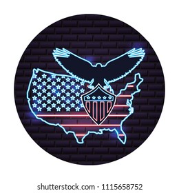 american map flag and eagle neon on wall