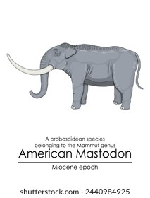 American Mastodon, a proboscidean species belonging to the Mammut genus from Miocene epoch.