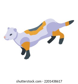 American mink icon. Isometric of american mink vector icon for web design isolated on white background