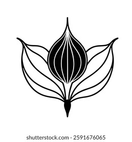 American momordica flower on white background